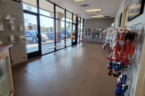 Spacious lobby and a variety of seating areas to keep cats and dogs separated if they are nervous or shy.