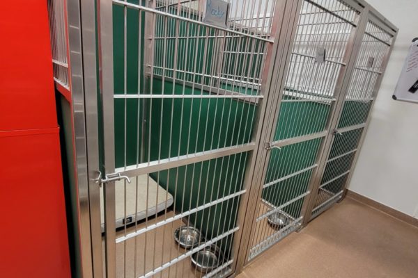 A large kennel, also called a run, for bigger dogs. There is a cot to keep them elevated off the floor, as well as a thick cushion pad.