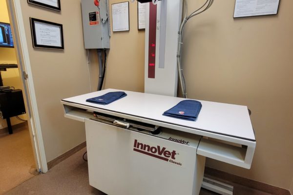 An on-site x-ray machine means faster results for you. We use digital imaging, so we are able to transfer the radiographs to a certified radiologist if needed.